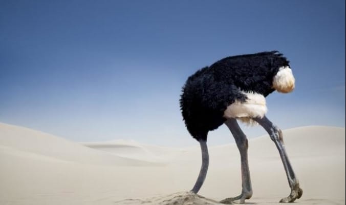 وإذا المودة سُئلت بأي ذنب قُتلت، وبأي ذنب قُتل طلحة والزبير، وجمل أم المؤمنين؟